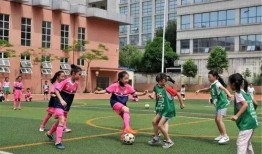 足球小将家长爆料视频,揭秘赛场背后的感人故事