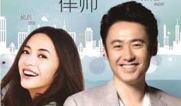 离婚律师在线观看,揭秘婚姻破裂背后的法律智慧