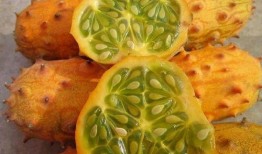 非洲网红吃瓜视频,趣味横生引网友热议